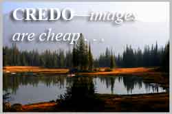 credo: images are cheap