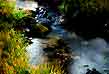 Holly Brook, Hidden Lake