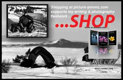 splash page for picture-poems.com shop