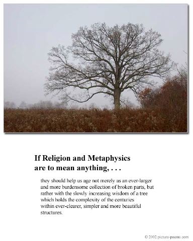 poster_tree-of-wisdom.jpg