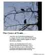 Poster: Crows of Truth