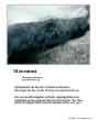 Poster: Movement