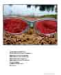 Poster: Rose Glasses