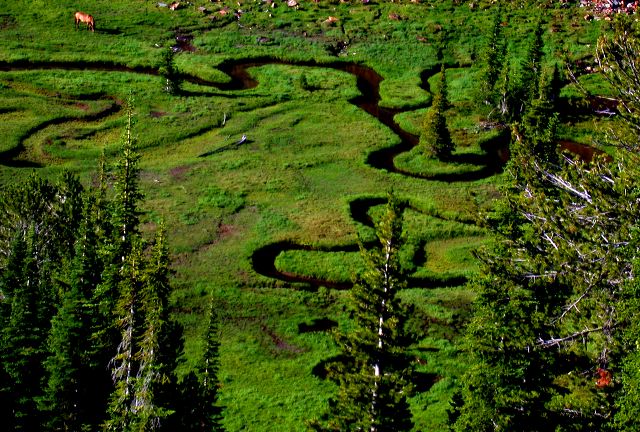 above-krag-peak-basin.jpg