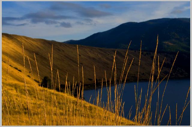 grass_east-moraine.jpg