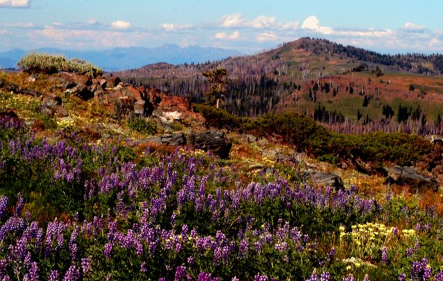 july-canyon-lands_7-27-09.jpg