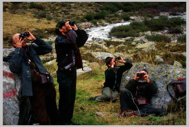 looking-for-chamois.jpg