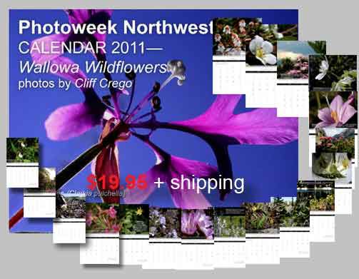 pp_calendar_2011-flora.jpg
