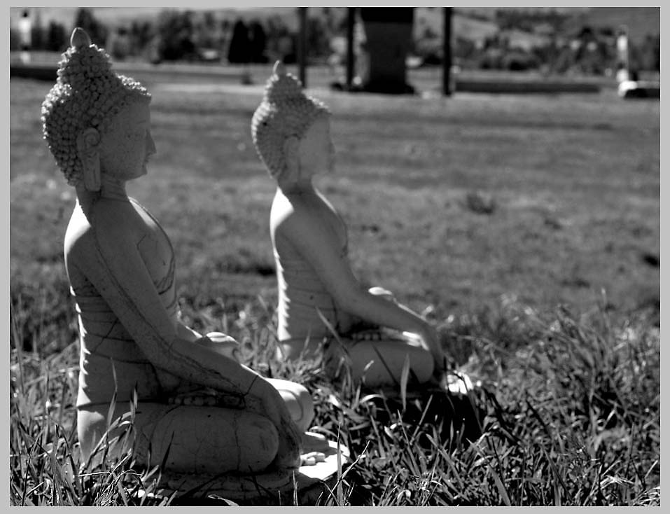 CLIFF CREGO | DUO—EWAM, Garden of 1000 Buddhas, Jocko Valley, Arlee Montana