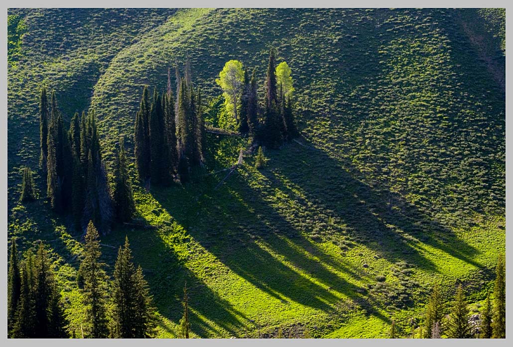 AFTERNOON LIGHT at 1900 m., JULY, the Eagle Cap Wilderness