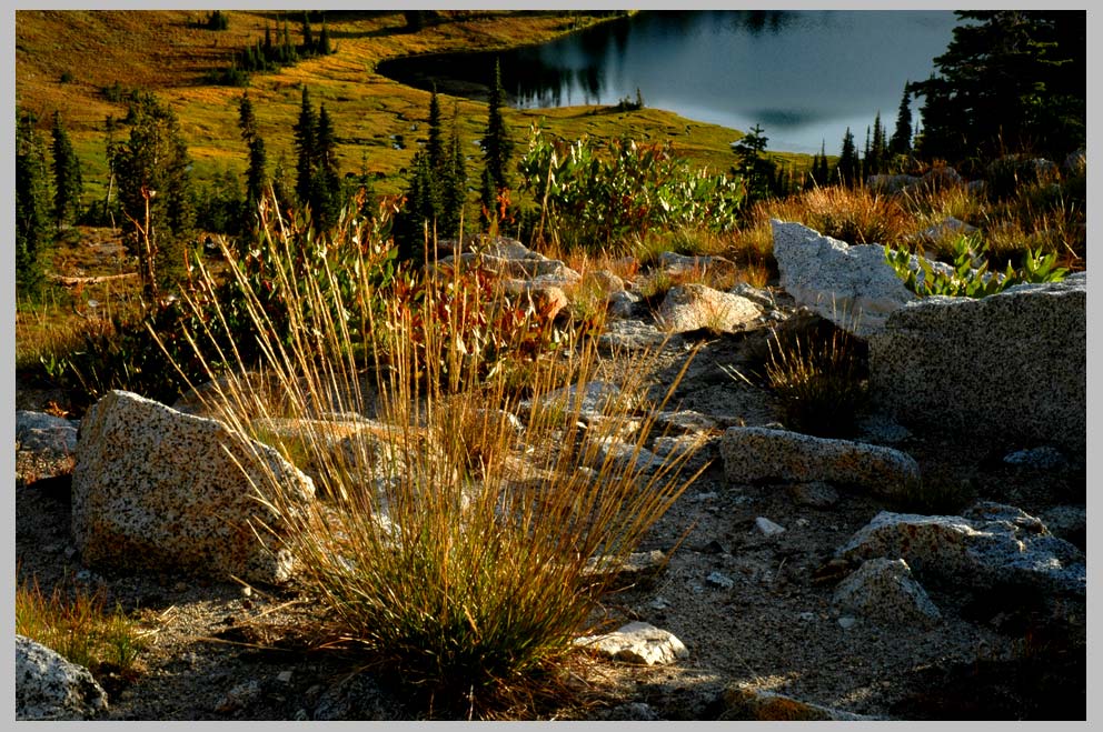 CLIFF CREGO | Alpine Ensemble II, above Hidden Lake,  Eagle Cap Wilderness