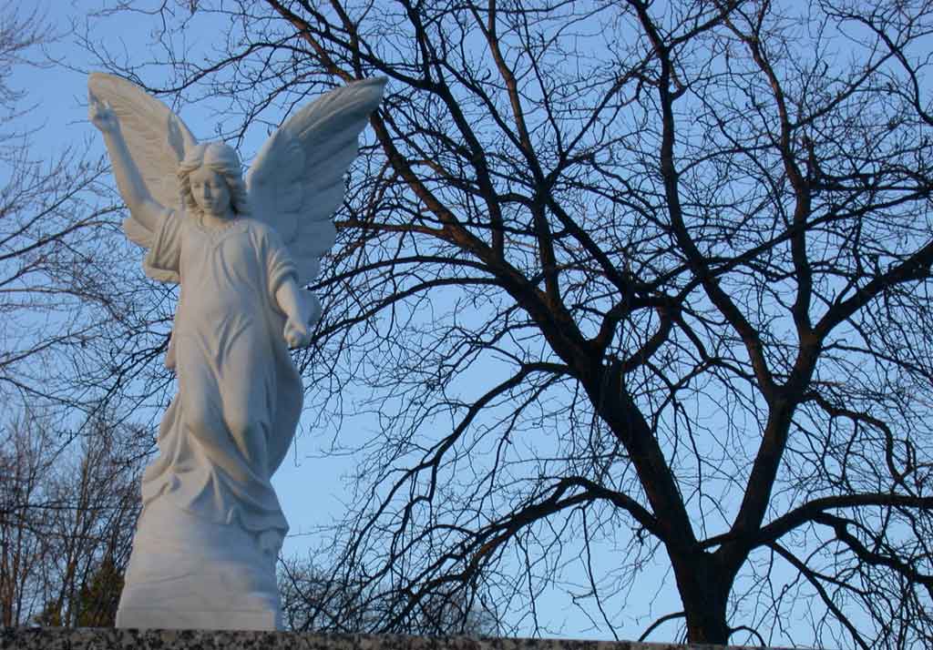 angel tree