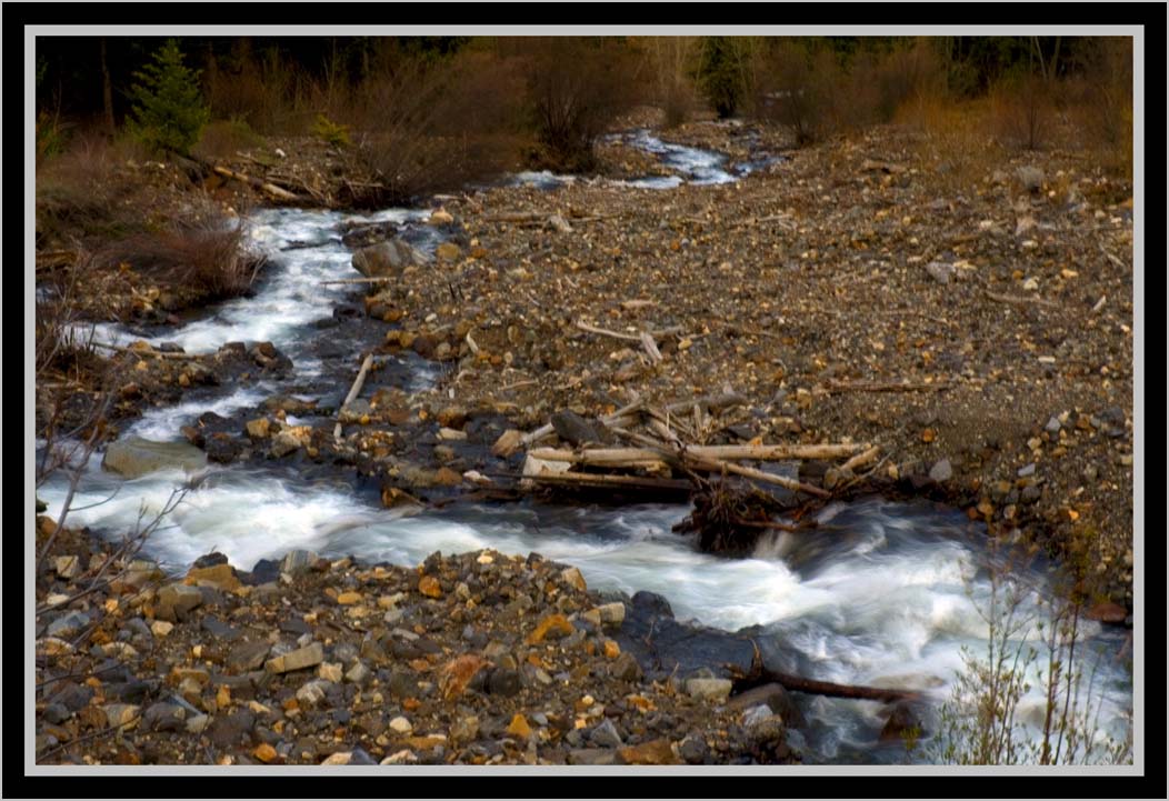 HURRICANE VALLEY, FALLS CREEK—spring braided stream 