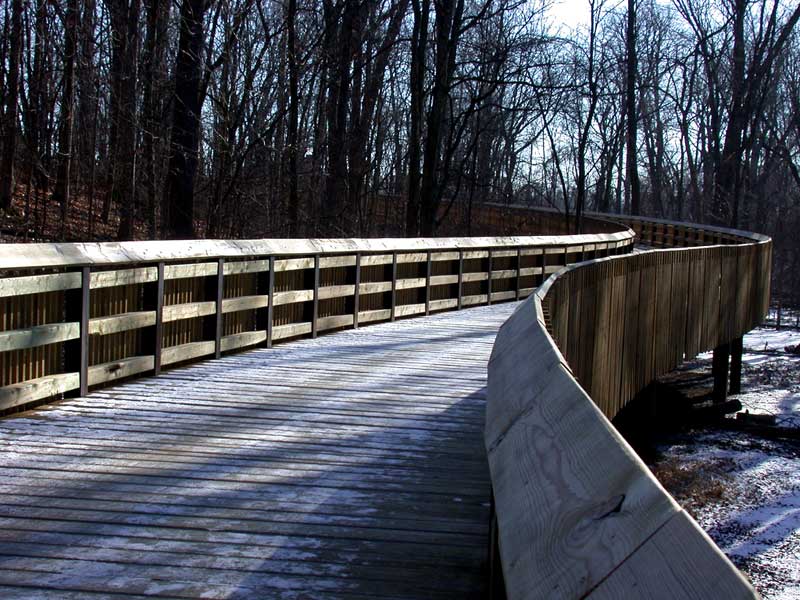 wooden bridge