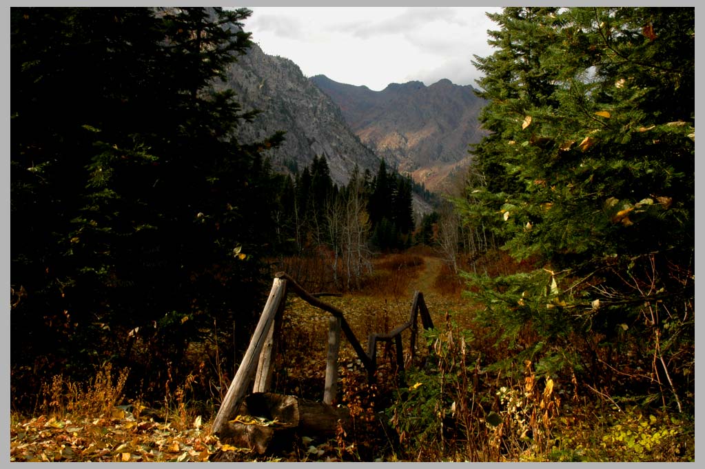 CLIFF CREGO | Broken Bridge, Pine Creek , Upper Pine Valley, The South Wallowas