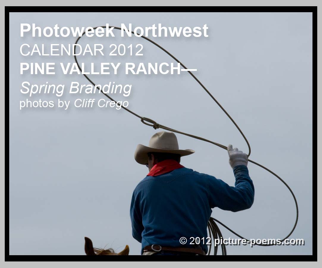 PINE VALLEY RANCH—Spring Branding (IV.10.2010-2012)