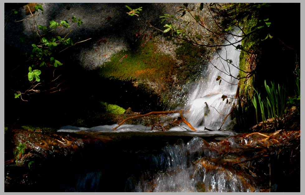 Cascade. Pool. Falls. 