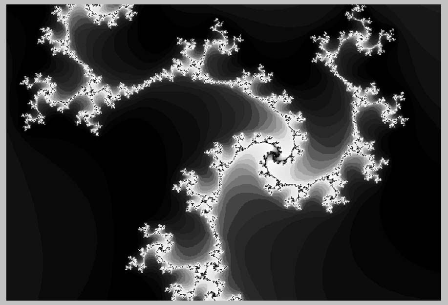 FRACTAL FORMS: Birth of Form