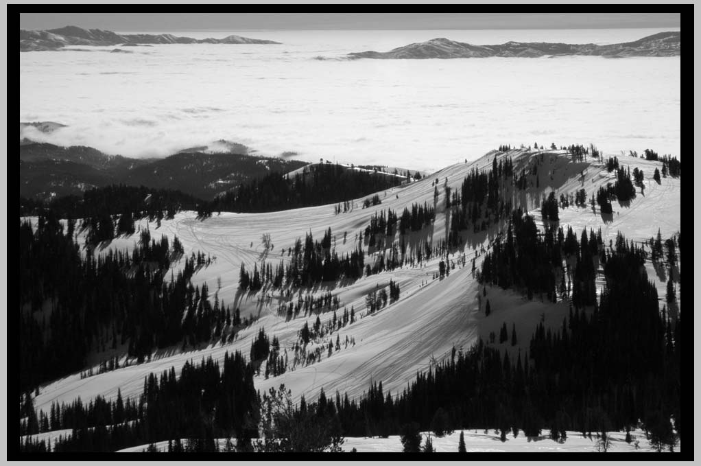 Copia, Southside, South Wallowas 