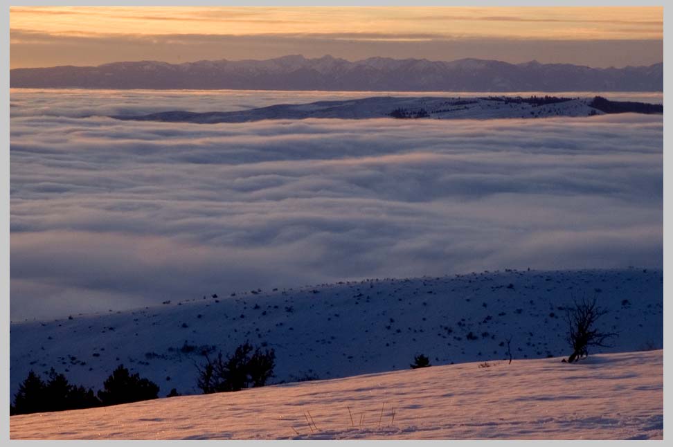 The Elkhorns, across January Inversion