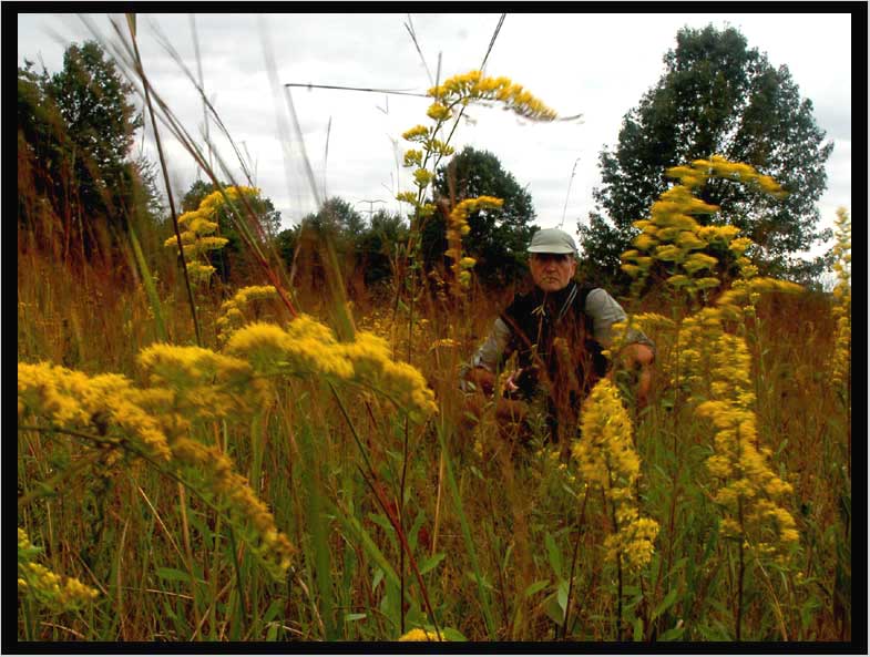 fieldwork IX.19.2006