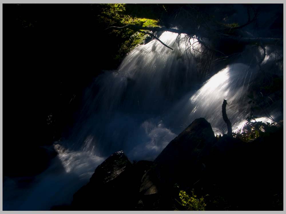 CLIFF CREGO |  Alpine Forest Stream, South Wallowas 