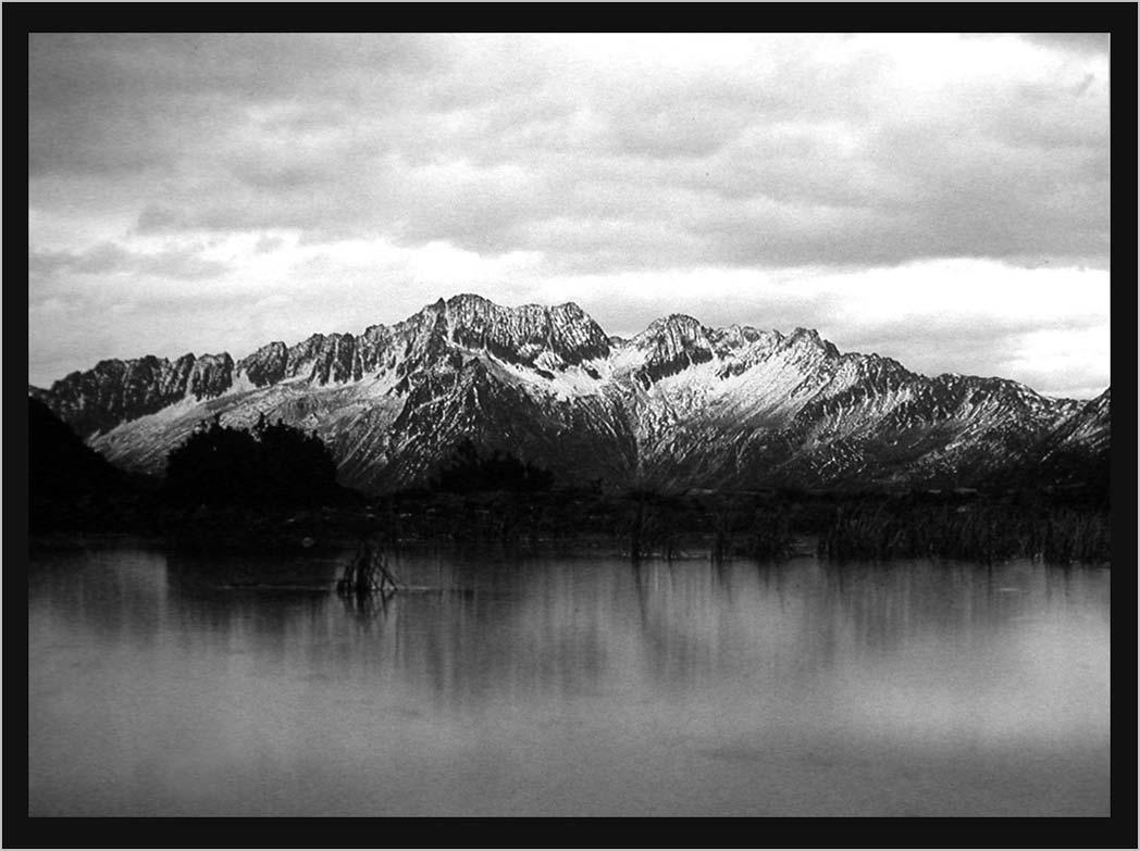 CLIFF CREGO | FROZEN ALPINE MOOR at 1900 m