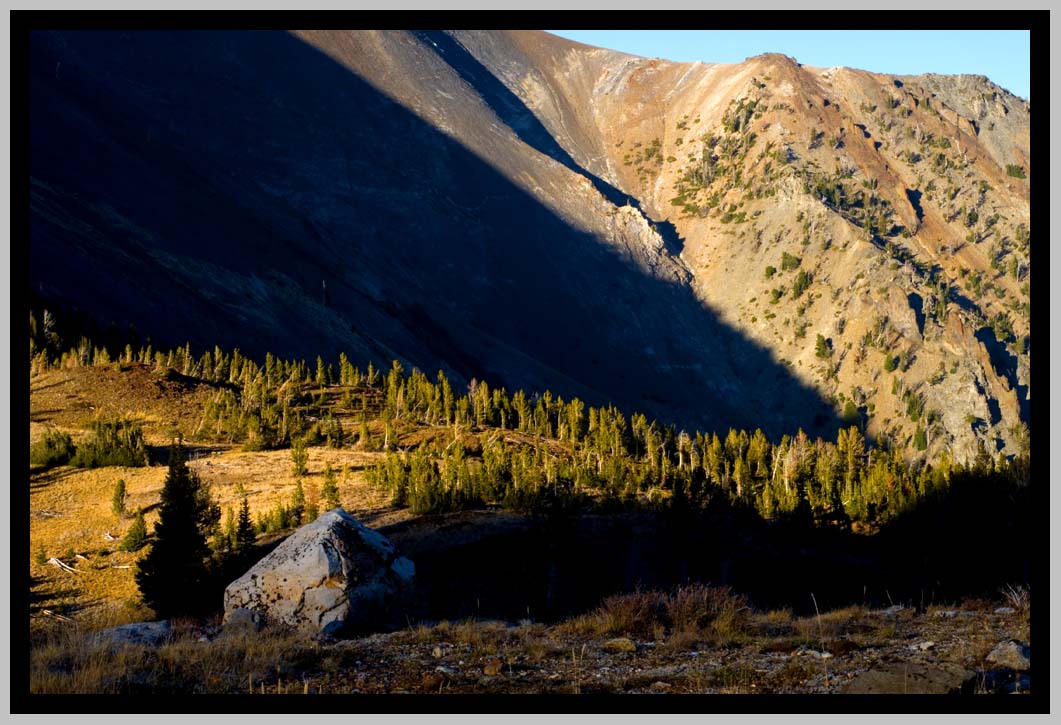 LASTLIGHT on TREELINE, Whitebarks, Eagle Cap Wilderness