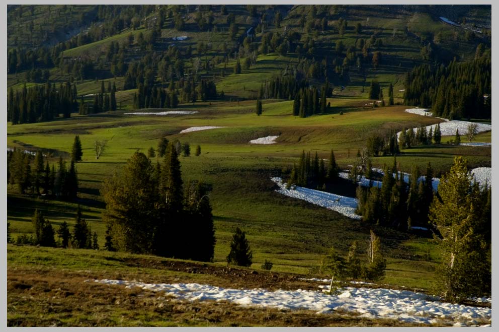Little Eagle Meadows, VI.27.2009. Eagle Cap Wilderness