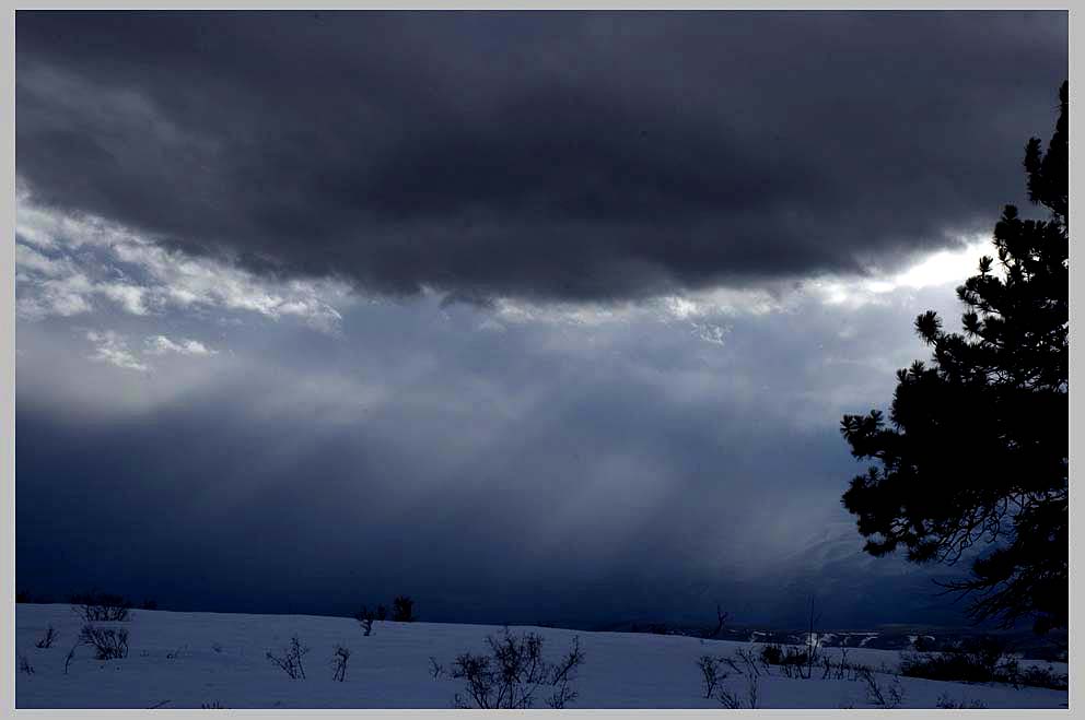 CLIFF CREGO | March Storm, approaching