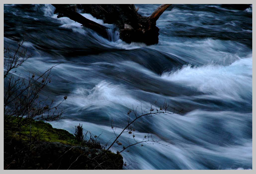 METOLIUS RIVER, spring evening & color, Oregon 