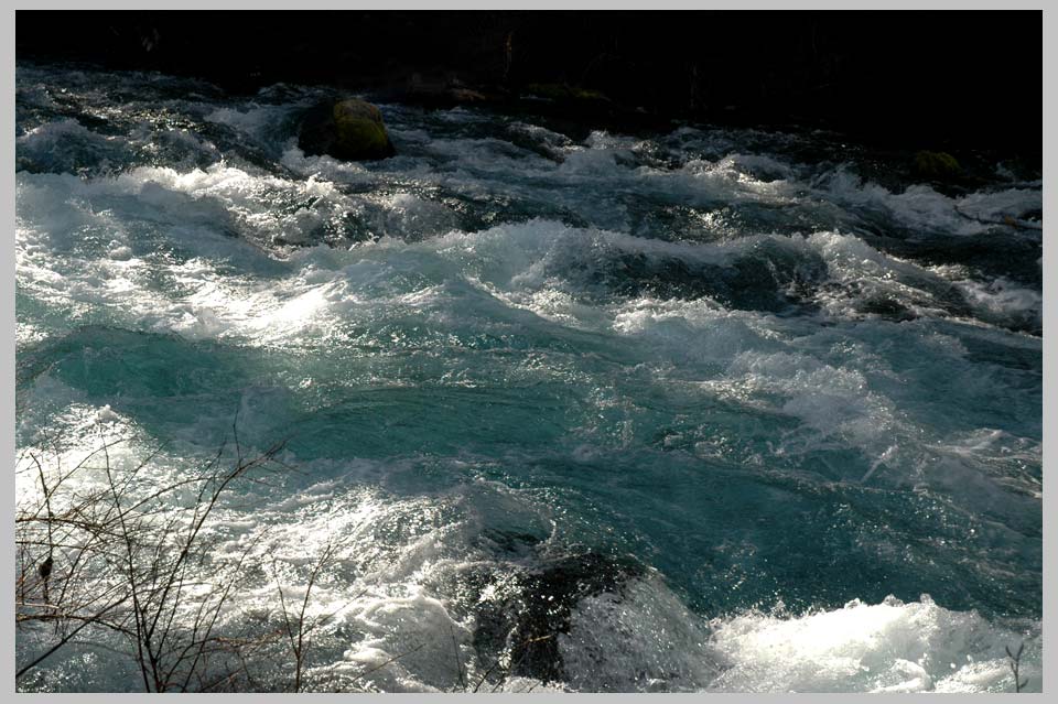 Metolius Water, Central Cascades, Oregon
