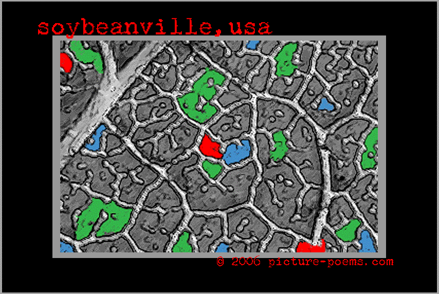 soybeanville topo