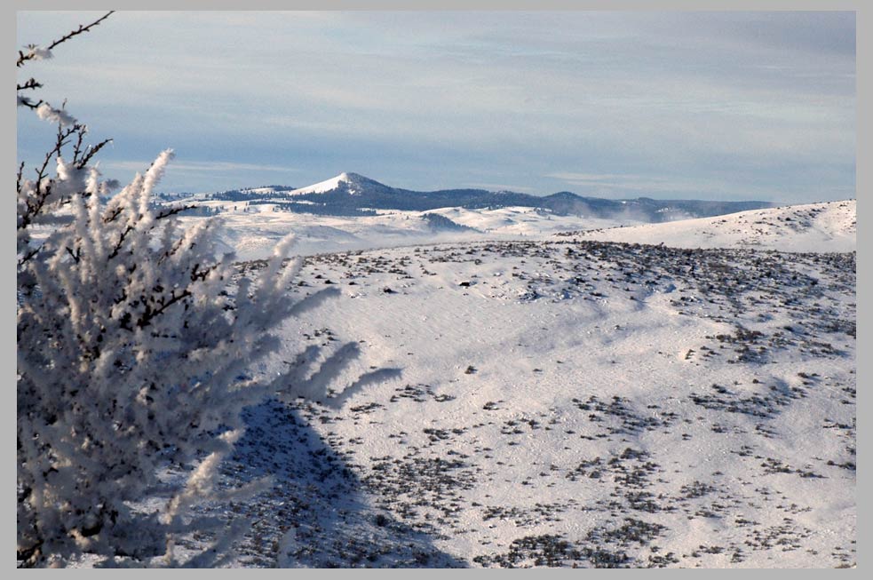 SPARTA BUTTE, from Summit Creek (XII.31.2007)