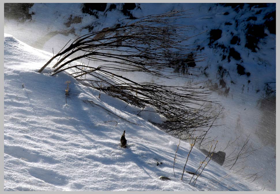 CLIFF CREGO | Wind-in-Snow, the South Wallowas