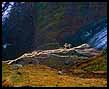 glacier melt