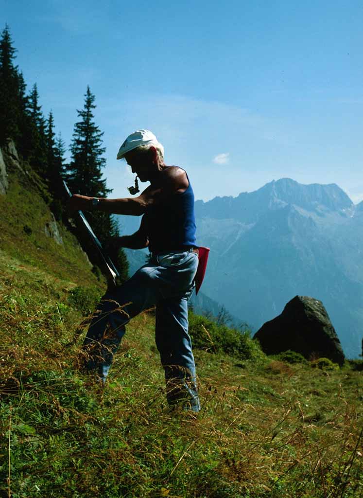 Scything the Hay, the Alps
