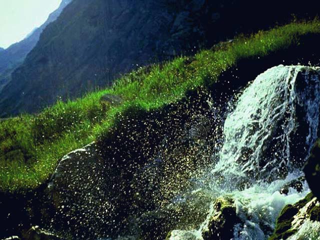 Mountain Stream, the Alps
