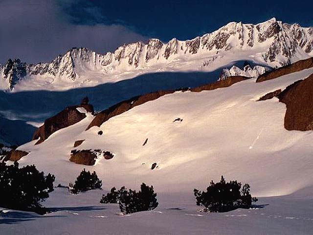 Spring Alpine Moor