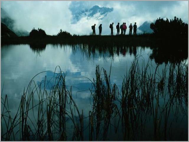 Summer Moor, the Alps