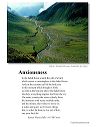 poster_anxiousness