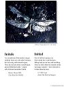 poster_initial