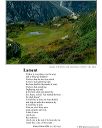 poster_lament