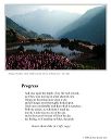 poster_moor-heather
