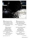 poster_scales