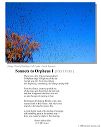 poster_sonnet-i-1