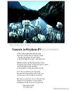 poster_sonnet-iv-2