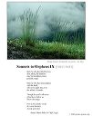 poster_sonnet-ix-1