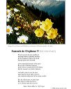 poster_sonnet-v-2