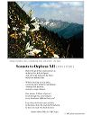 poster_sonnet-xii-1